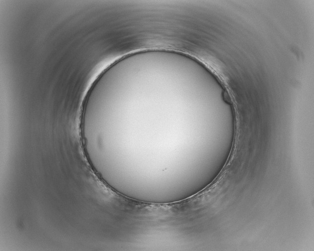 X0000115520912200911201656