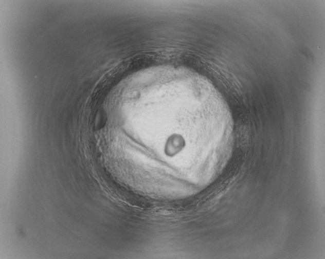 X0000115520913200911201656