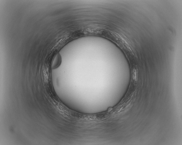 X0000115520915200911201656