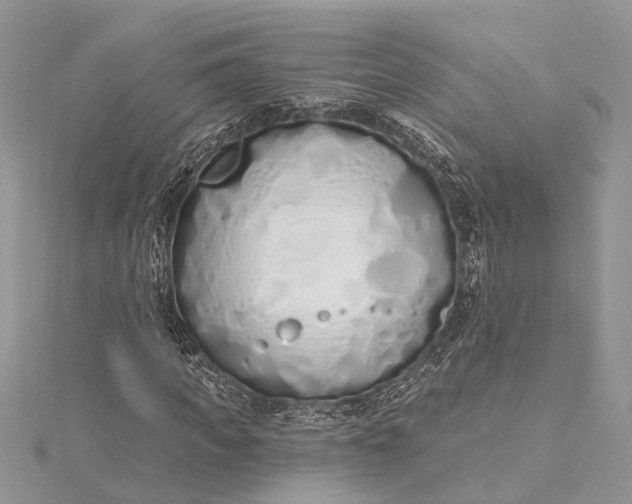 X0000115520917200911201656