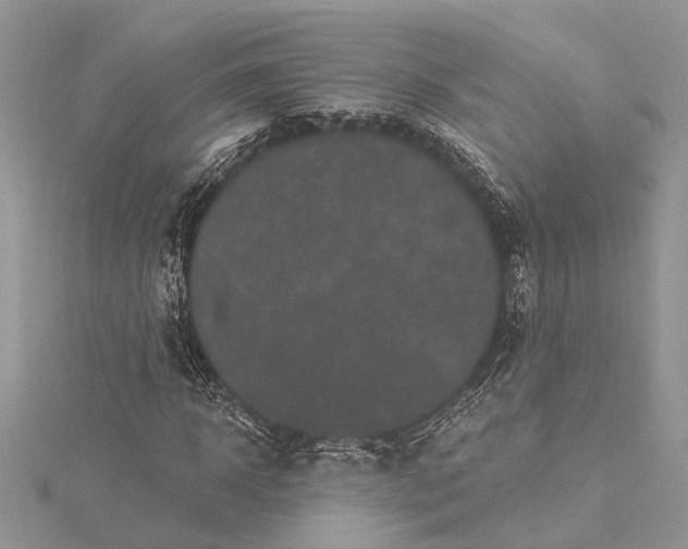 X0000115520918200911201656