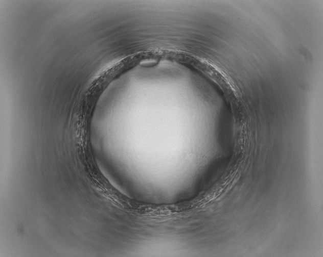 X0000115520919200911201656