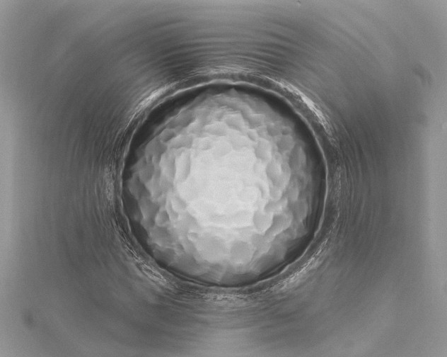 X0000115520921200911201656