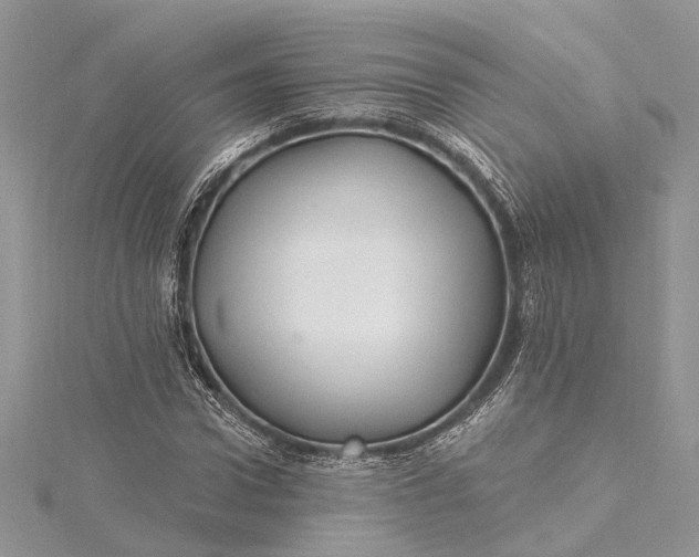 X0000115520922200911201656