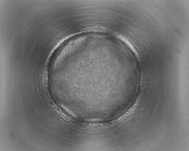 X0000115520923200911201656