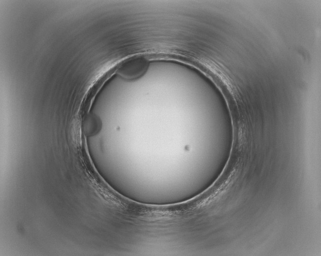 X0000115520925200911201656