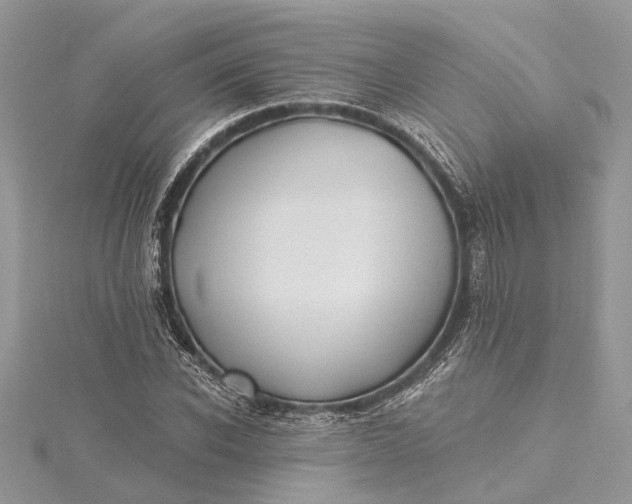 X0000115520926200911201656