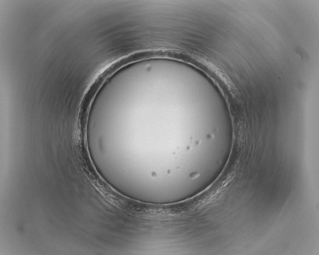 X0000115520927200911201656