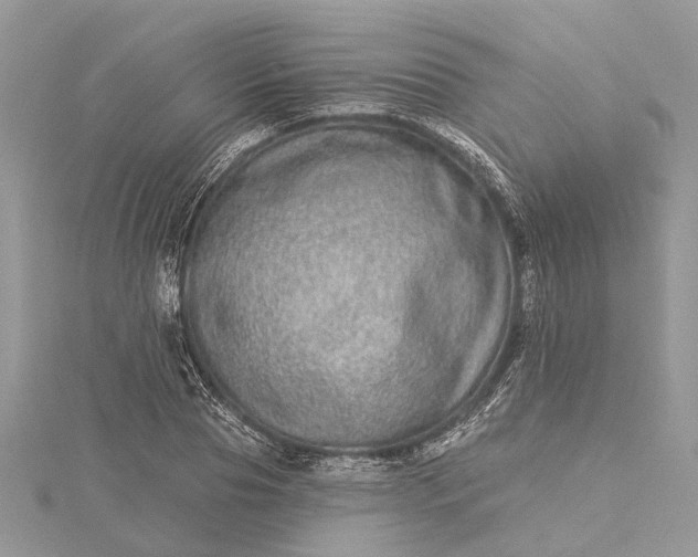 X0000115520929200911201656