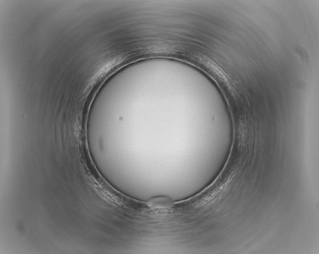 X0000115520930200911201656