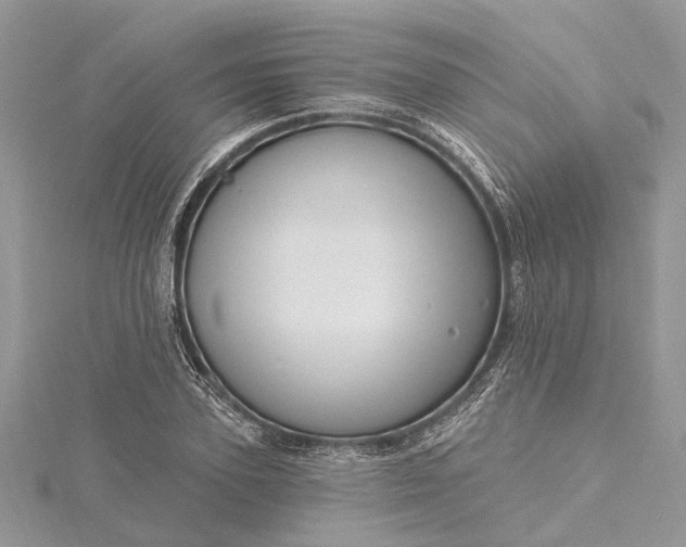 X0000115520931200911201656