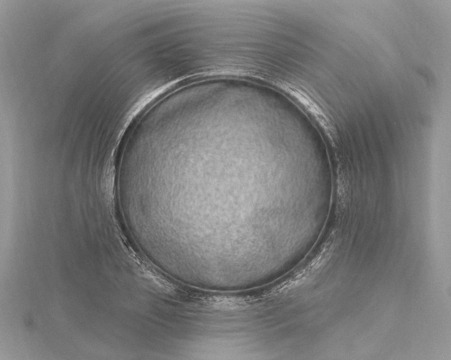 X0000115520933200911201656