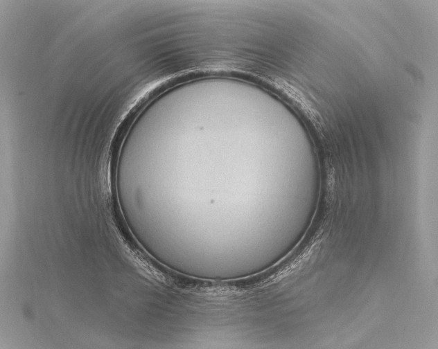 X0000115520934200911201656