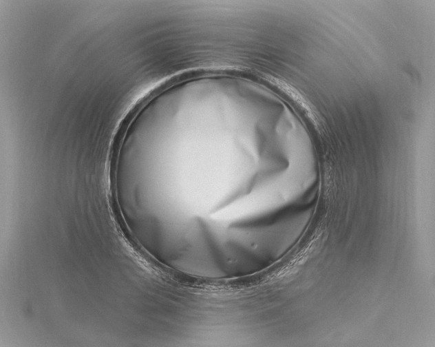 X0000115520935200911201656