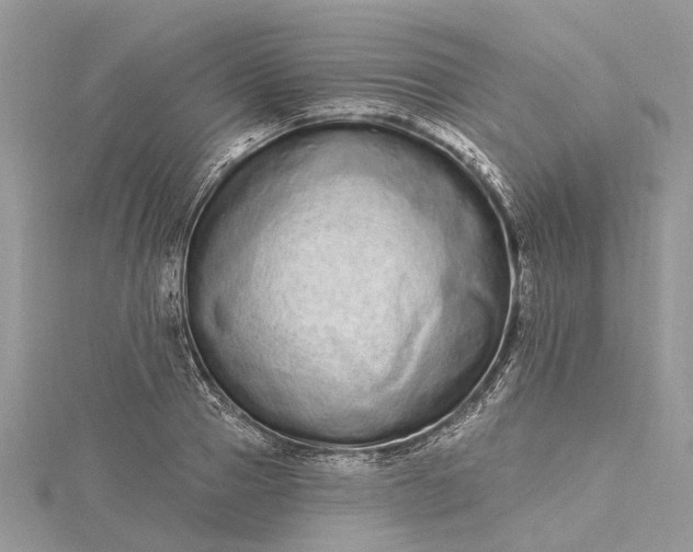 X0000115520937200911201656