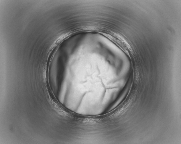 X0000115520938200911201656