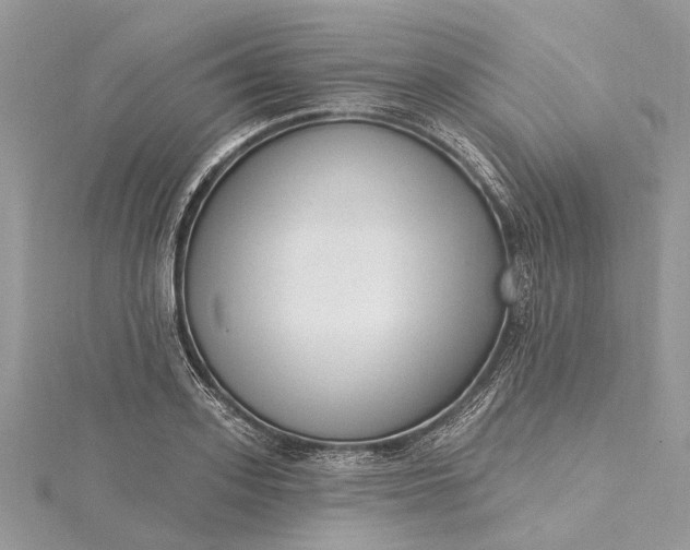 X0000115520939200911201656