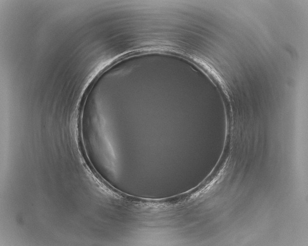 X0000115520941200911201656