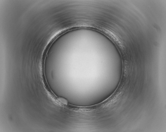 X0000115520942200911201656