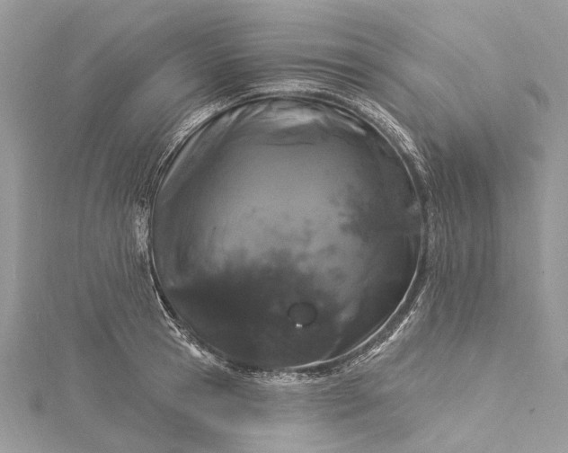 X0000115520945200911201656