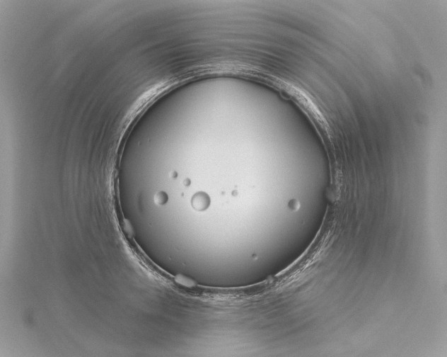 X0000115520946200911201656