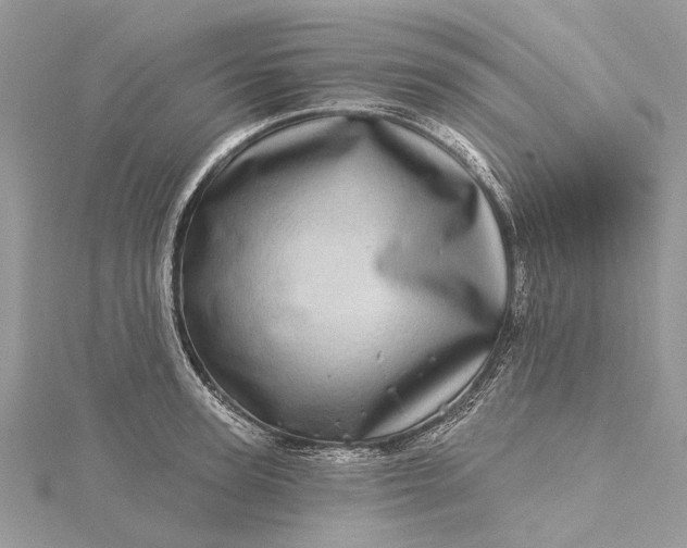 X0000115520947200911201656