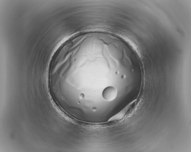 X0000115520949200911201656