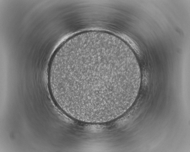 X0000115520950200911201656