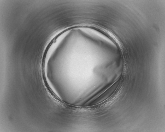 X0000115520951200911201656