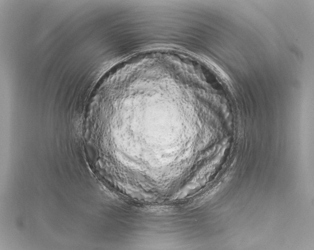 X0000115520953200911201656