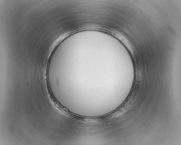 X0000115520954200911201656