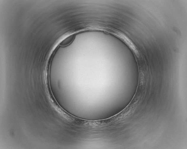 X0000115520955200911201656