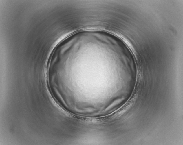 X0000115520957200911201656