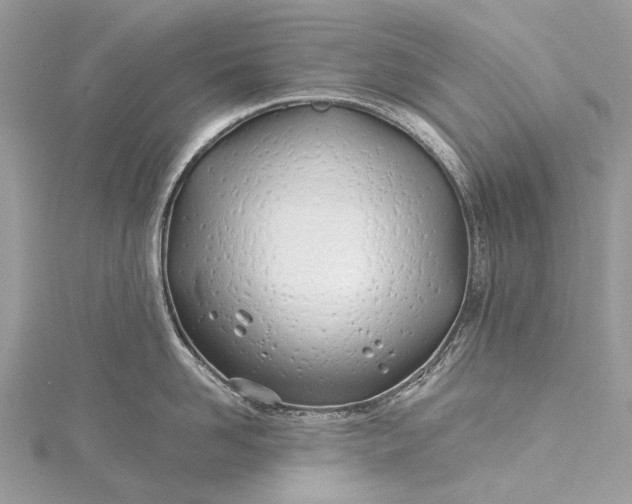 X0000115520958200911201656