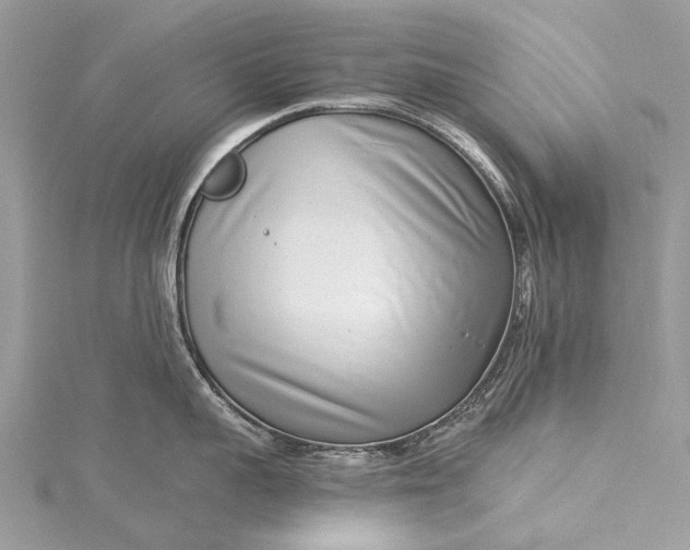 X0000115520959200911201656