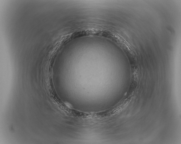 X0000115520961200911201656