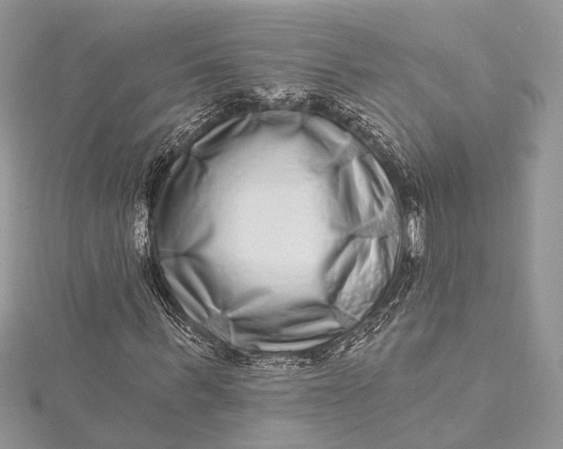 X0000115520963200911201656