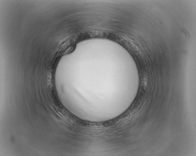 X0000115520964200911201656