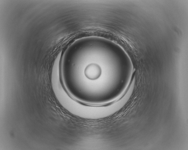 X0000115520965200911201656