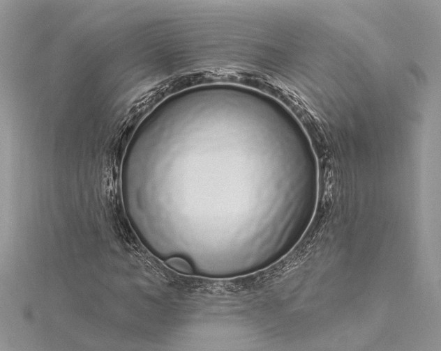 X0000115520966200911201656