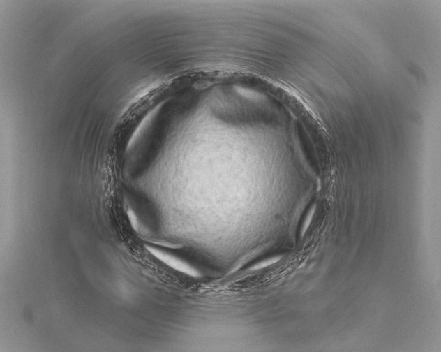 X0000115520967200911201656