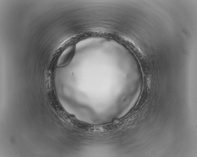 X0000115520968200911201656