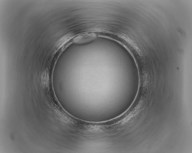 X0000115520969200911201656