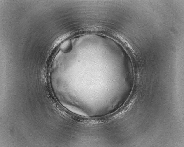 X0000115520970200911201656