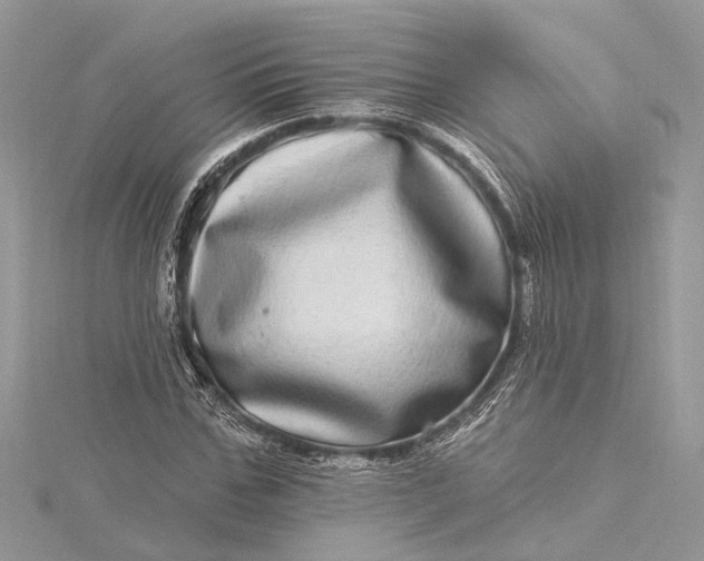 X0000115520971200911201656