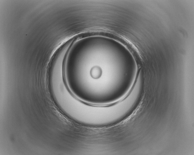 X0000115520973200911201656