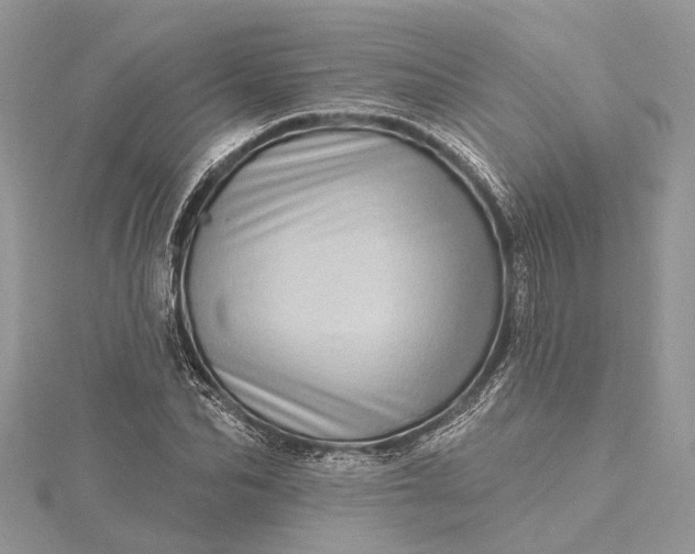 X0000115520974200911201656