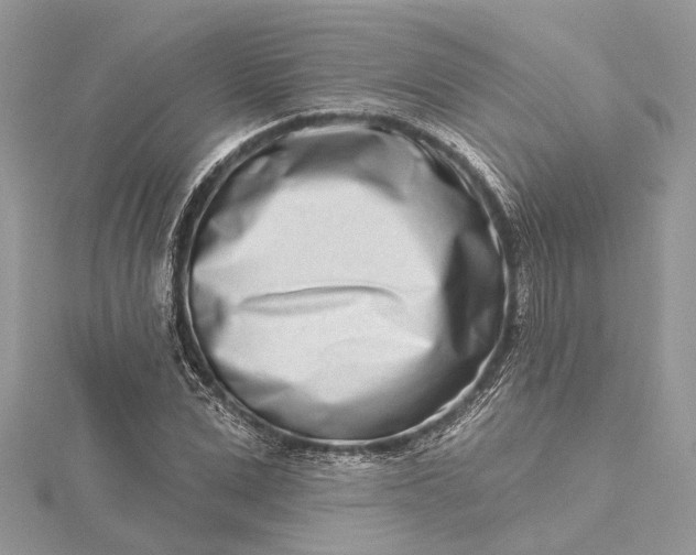 X0000115520975200911201655