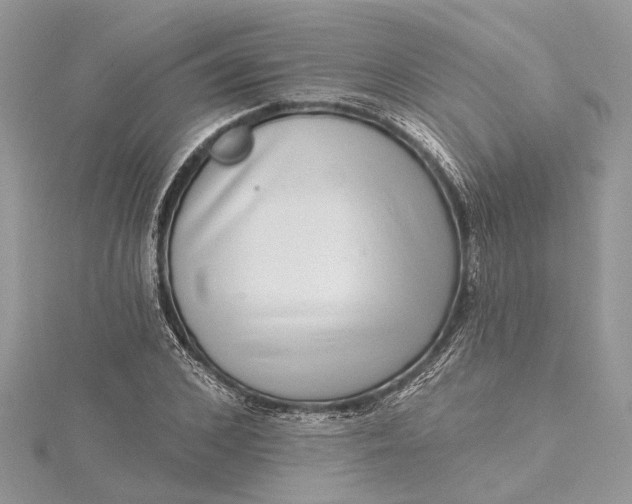 X0000115520976200911201655