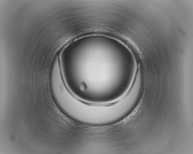 X0000115520977200911201655